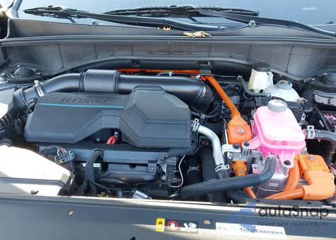 2025 Kia Sorento Hybrid Ex z USA, uszkodzony, nr VIN KNDRHDJG4S5428131